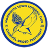 Monmouth Town FC