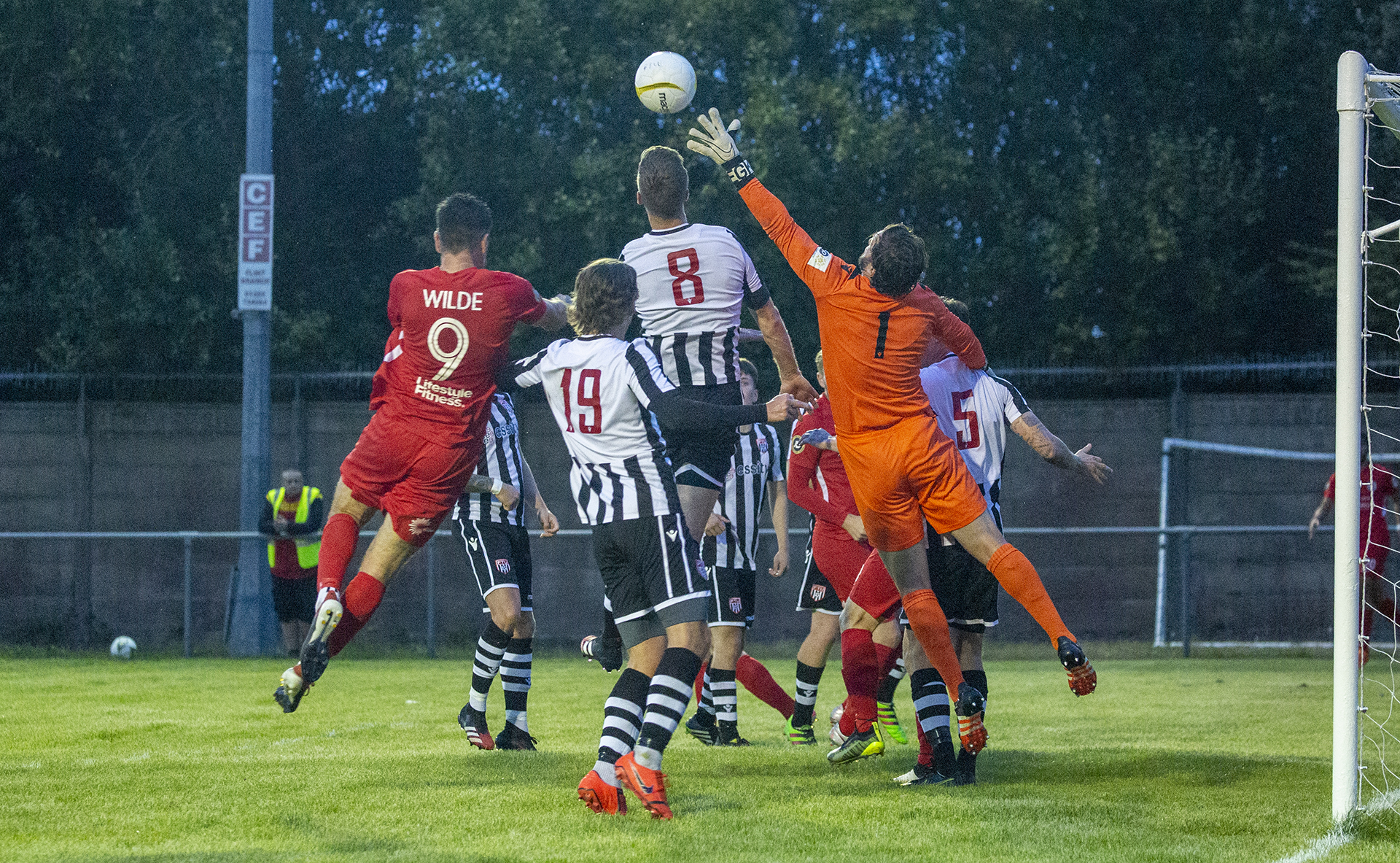 Ex-Nomads John Danby looks to keep Mike Wilde at bay | © NCM Media